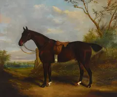 James Clark, School boy, oil on canvas