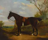 James Clark, School boy, oil on canvas