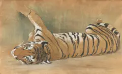 Boris Deutsch, Liegender Tiger, Um 1900, Gouache, Bleistift und farbige Kreide und Pastell auf Karton