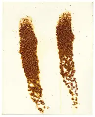 Georg Herold, Ohne Titel, 1989, Kaviar, Acryl und Lack auf Leinwand