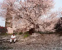 Larry Sultan, Antioch Creek, aus der Serie „Homeland“, 2006–2009, 2008, C-Print