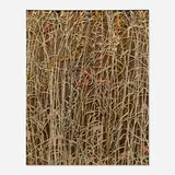Joe Brainard, Untitled