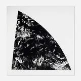 Baie Rouge from the Saint Martin series by Ellsworth Kelly, 1984, lithograph on Arches, sold May 2020