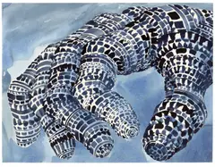 Tony Cragg, Hand Code, 2008, Aquarell auf Papier
