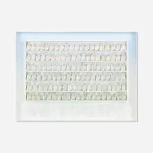 Rosamond Berg, Spring Air Dust, 1985, mixed media box construction of wood, fabric, string and feathers, in artist's frame