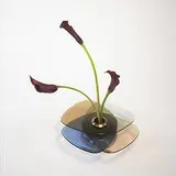 Fontana Arte, vase