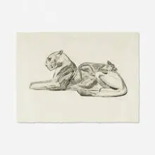 Paul Jouve, Panther, drypoint