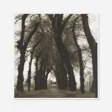 Parc de Canon, France from Poetics of Place. by Lynn Geesaman, 1995, toned gelatin print, sold Mar 2020