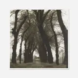 Lynn Geesaman, Parc de Canon, France from Poetics of Place., 1995, toned gelatin print
