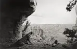 Hiroshi Sugimoto, Mountain Lion“, aus der Serie „Dioramas