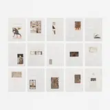 Francisco Toledo, Toledo / Guchachi portfolio
