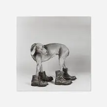 William Wegman, Untitled (Faye Ray in Boots), gelatin silver print