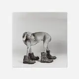 William Wegman, Untitled (Faye Ray in Boots)