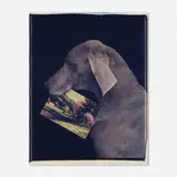 Landscape Portrait by William Wegman, 1994, Polaroid Polacolor II, sold Mar 2020