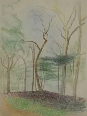 Joseph Stella, Tree Study, pastel on paper