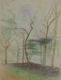 Joseph Stella, Tree Study