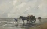 Johan Scherrewitz, Gathering bait in the shallows
