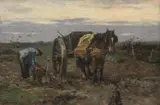Johan Scherrewitz, Loading potatoes