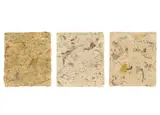 John Cage, Medicine Drawings
