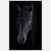 Antoine Schneck, Galactico, 2017, archival pigment print mounted to board behind Plexiglas