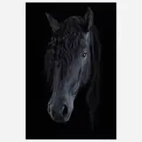 Antoine Schneck, Galactico, 2017, archival pigment print mounted to board behind Plexiglas