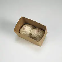 Carol Anthony, untitled (Breasts), 1977, papier-mache, cardboard