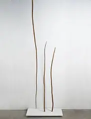 Cross Aitch by Rosemarie Castoro, 1977-78, wood branches, sold May 2004