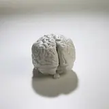 Brain by Katharina Fritsch, c. 1989, plaster, sold May 2004