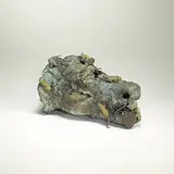 Ailnh Gor, Cow Head, bronze and mixed media