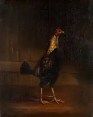 Benjamin Marshall, 'The Trimmed Cock'; 'The Cock in Feather', oil on canvas