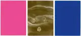 Yves Klein, Monochrome und Feuer“ (Triptychon), 1961, Ausstellungskatalog mit 3 Tafeln in Blau, Rosa und Gold: 2 Serigrafien in Blau bzw. Rosa, jeweils auf leichtem Karton, und 1 Goldkarton, von Yves Klein mit Blattgold versehen. Mit 2 Doppelbögen mit Abbildungen, 1 Doppelbogen mit Text und Umschlagboge
