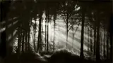 In the Garden, Et in Arcadia Ego by Robert Longo, 2014, Pigmentdruck, sold Jul 2020