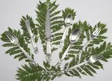Georg Jensen, Acorn silver service (84 pieces)