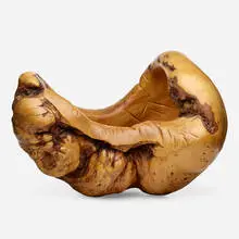 Mark Lindquist, massive vessel, 1978, burl wood