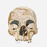 Diederick Kraaijeveld, Skull/Vanitas, 2013, salvaged wood construction