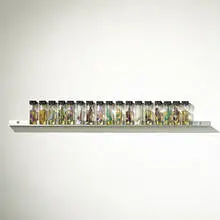 untitled by Bill Scanga, aluminum, isopropyl, minnows, fabric, sold May 2004