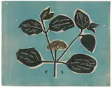 Hap Grieshaber und Klaus Vrieslander, The Swabian Alb / a book of woodcuts, 1936, Buch mit 32 Holzschnitten von Grieshaber und 26 Holzschnitten von Vrieslander, 5 Blatt aquarelliert, jeweils auf Ingres-Bütten