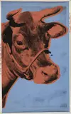 Andy Warhol, Cow, 1971, Screenprint on wallpaper
