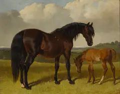 Snr. John Frederick Herring, Mare and foal, oil on panel