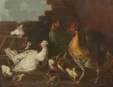 Melchior de Hondecoeter, The new brood, oil on canvas
