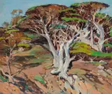 John O'Shea, Cypress Trees, oil on canvas