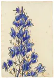 Lupinen by Christian Rohlfs, 1932, Wassertempera und Kreide auf genarbtem Velin, sold Jun 2016