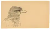 Carl Gustav Carus, Skizzenbuch mit Motiven aus der Umgebung Dresdens