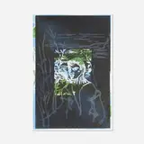 Julian Schnabel, A Boy from Naples, 1986, etching and spit bite aquatint in colors over lithograph