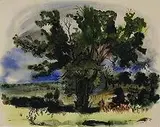 Chris Ritter, Summer Tree, 1941, watercolor on paper