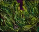 Michele Fletcher, Urpflanze, 2022, oil on linen