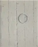 Josephine Halvorson, Ring Handle, 2011, oil on linen