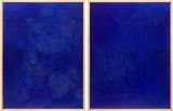 Jan Fabre, Vleermuis, 1989, Bic ballpoint on photo paper, diptych, in artist's frames