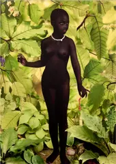 Ruud van Empel, Venus #1, 2006, cibachrome print, flush-mounted to Dibond and face-mounted to Plexiglass