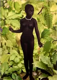 Ruud van Empel, Venus #1